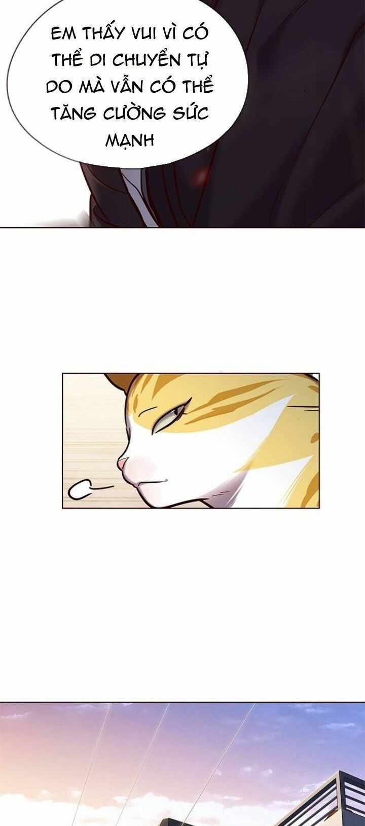 đọc truyện Hóa Thân Thành Mèo Chương 117 ảnh 10 tại Thiên Thai Truyện