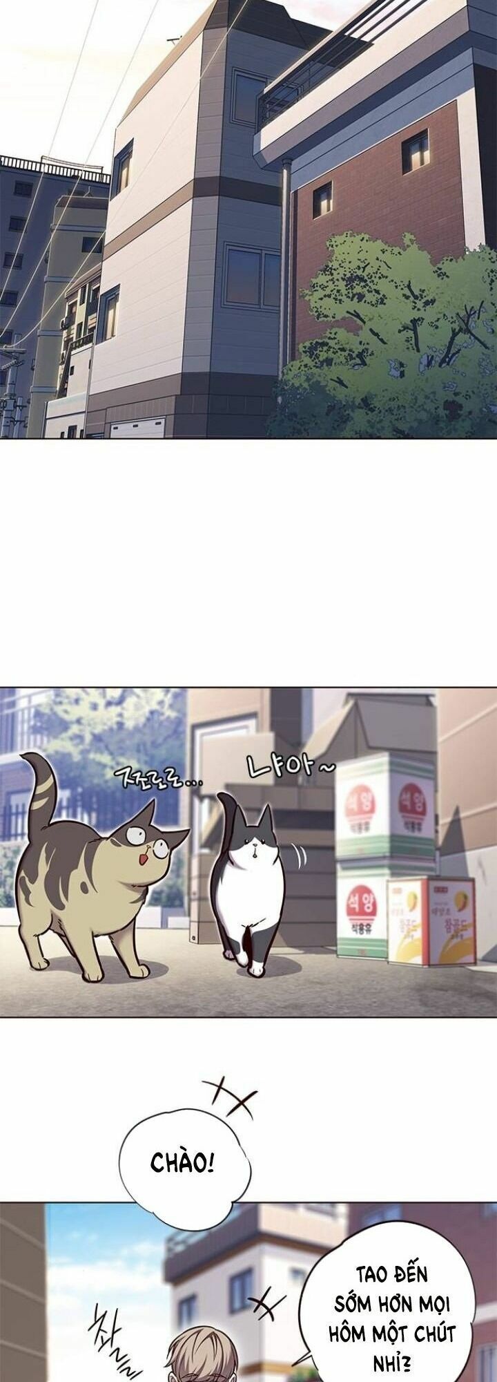 đọc truyện Hóa Thân Thành Mèo Chương 117 ảnh 11 tại Thiên Thai Truyện