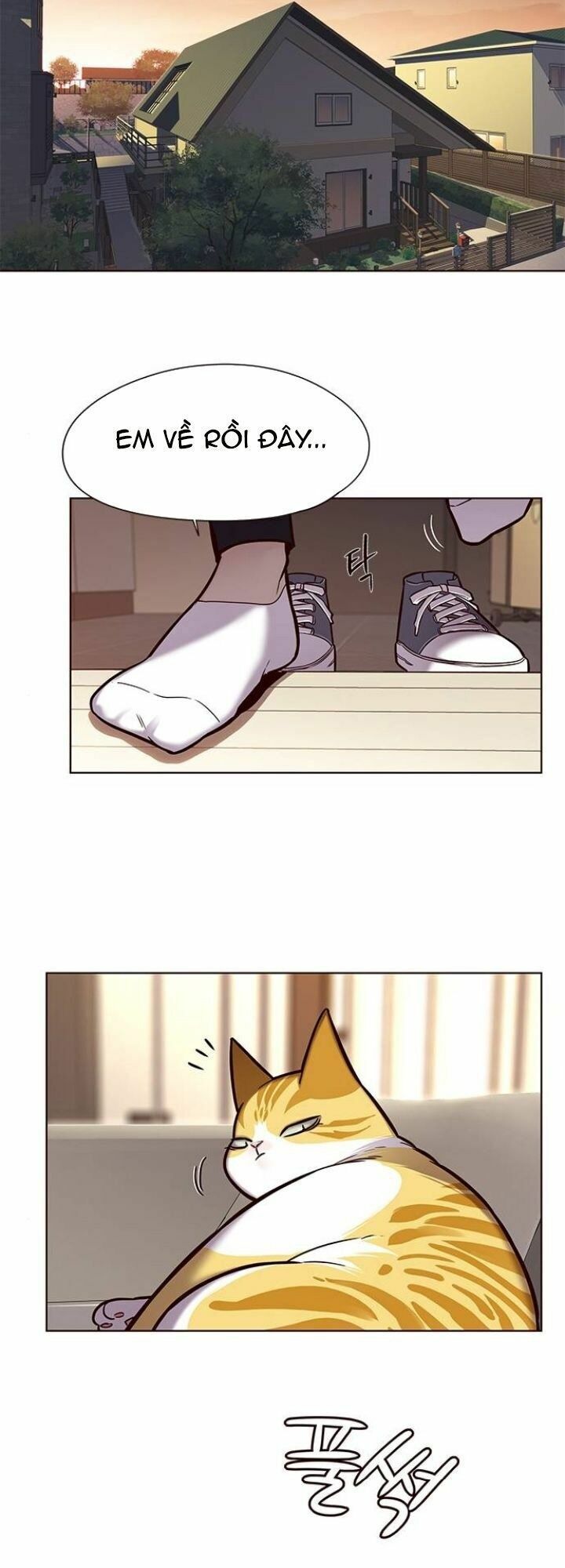 đọc truyện Hóa Thân Thành Mèo Chương 118 ảnh 42 tại Thiên Thai Truyện