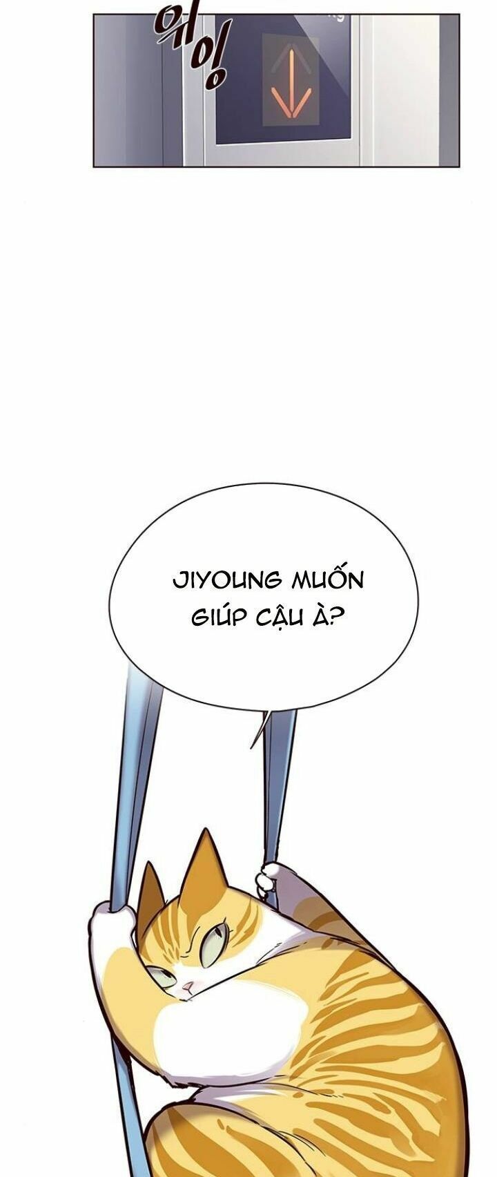 đọc truyện Hóa Thân Thành Mèo Chương 118 ảnh 7 tại Thiên Thai Truyện