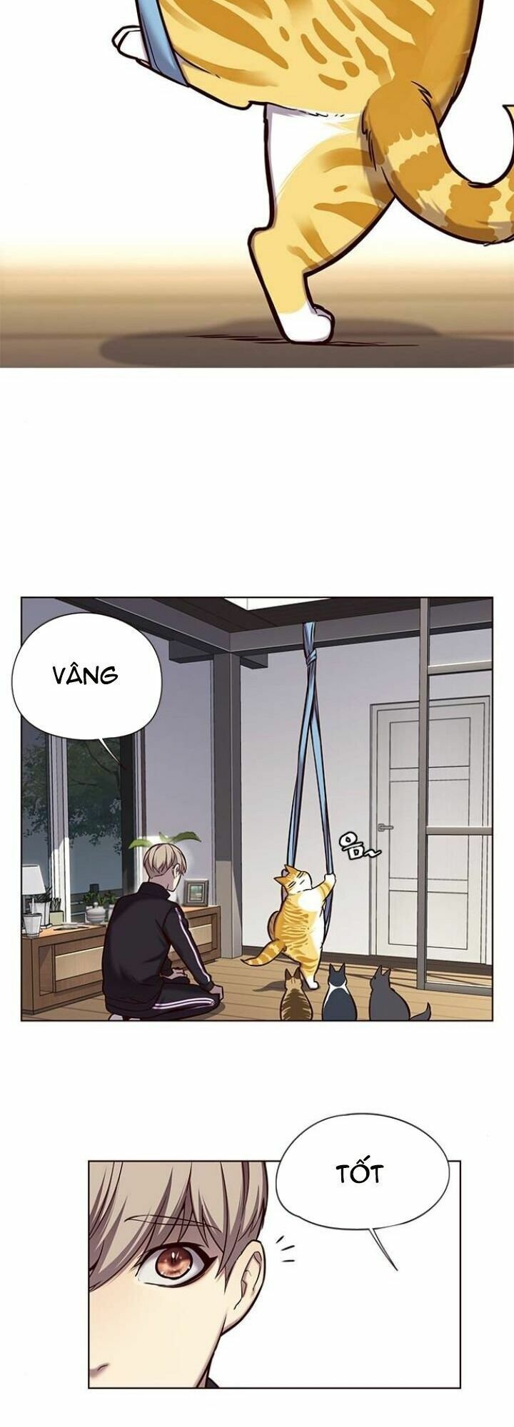 đọc truyện Hóa Thân Thành Mèo Chương 118 ảnh 8 tại Thiên Thai Truyện