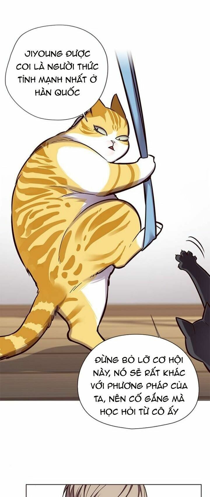 đọc truyện Hóa Thân Thành Mèo Chương 118 ảnh 9 tại Thiên Thai Truyện