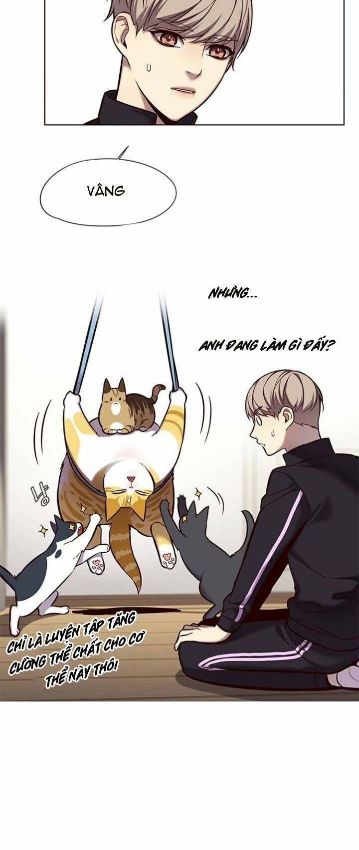 đọc truyện Hóa Thân Thành Mèo Chương 118 ảnh 10 tại Thiên Thai Truyện