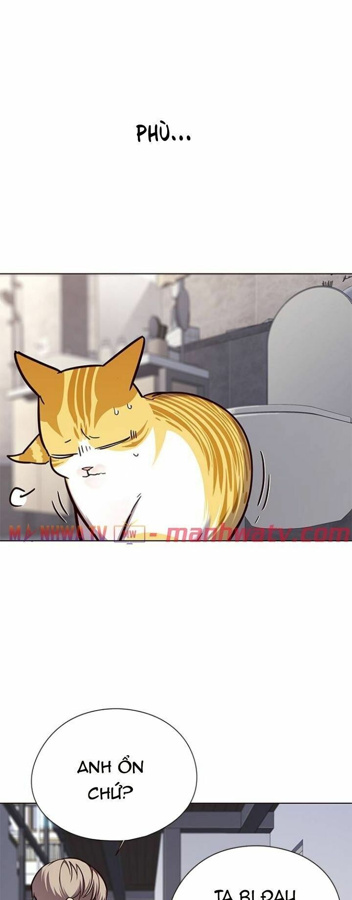 đọc truyện Hóa Thân Thành Mèo Chương 119 ảnh 6 tại Thiên Thai Truyện