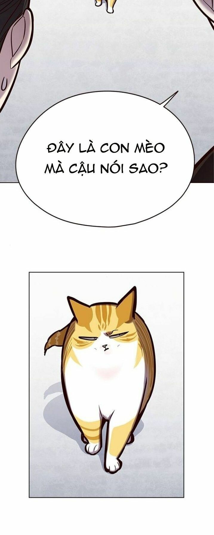 đọc truyện Hóa Thân Thành Mèo Chương 119 ảnh 51 tại Thiên Thai Truyện