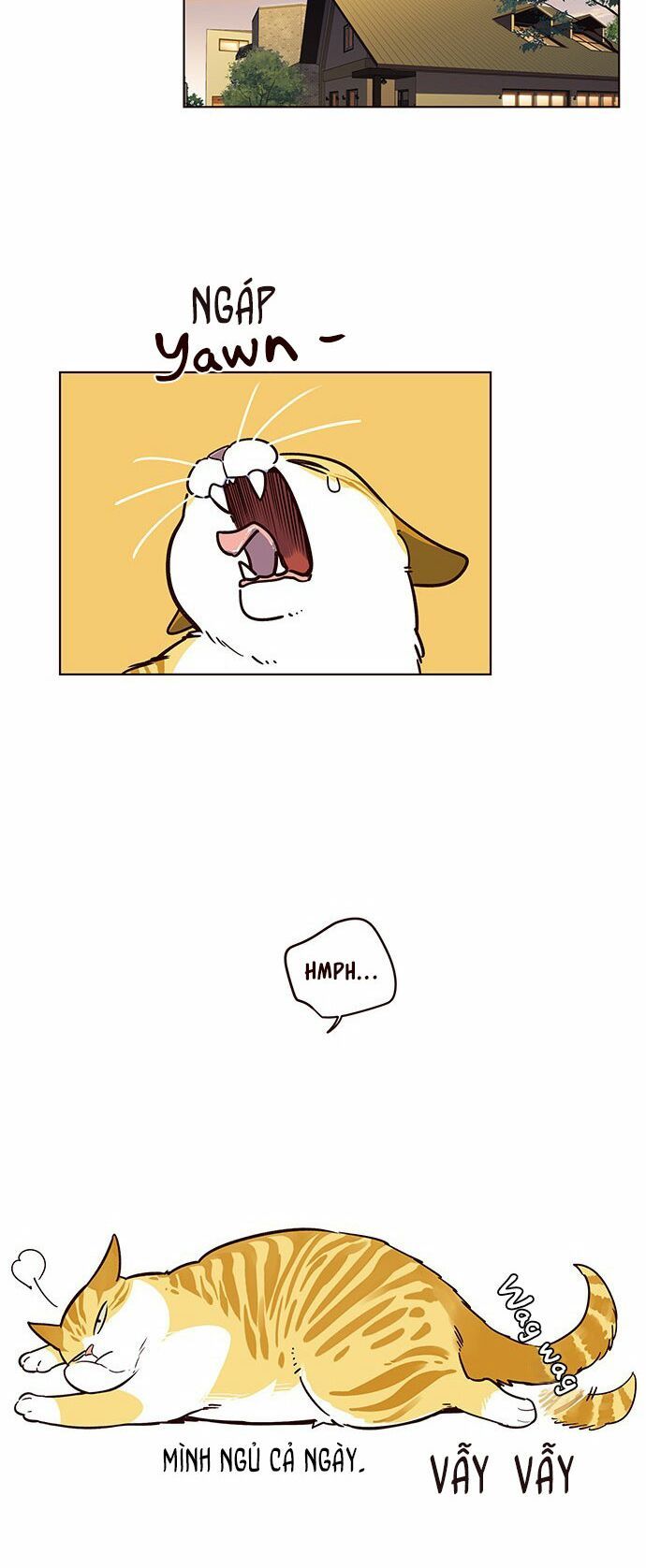 đọc truyện Hóa Thân Thành Mèo Chương 12 ảnh 50 tại Thiên Thai Truyện