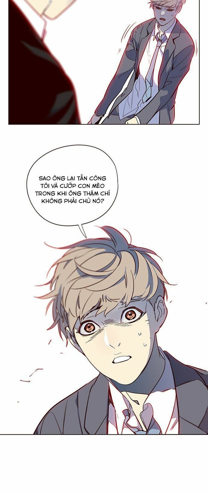 đọc truyện Hóa Thân Thành Mèo Chương 12 ảnh 7 tại Thiên Thai Truyện