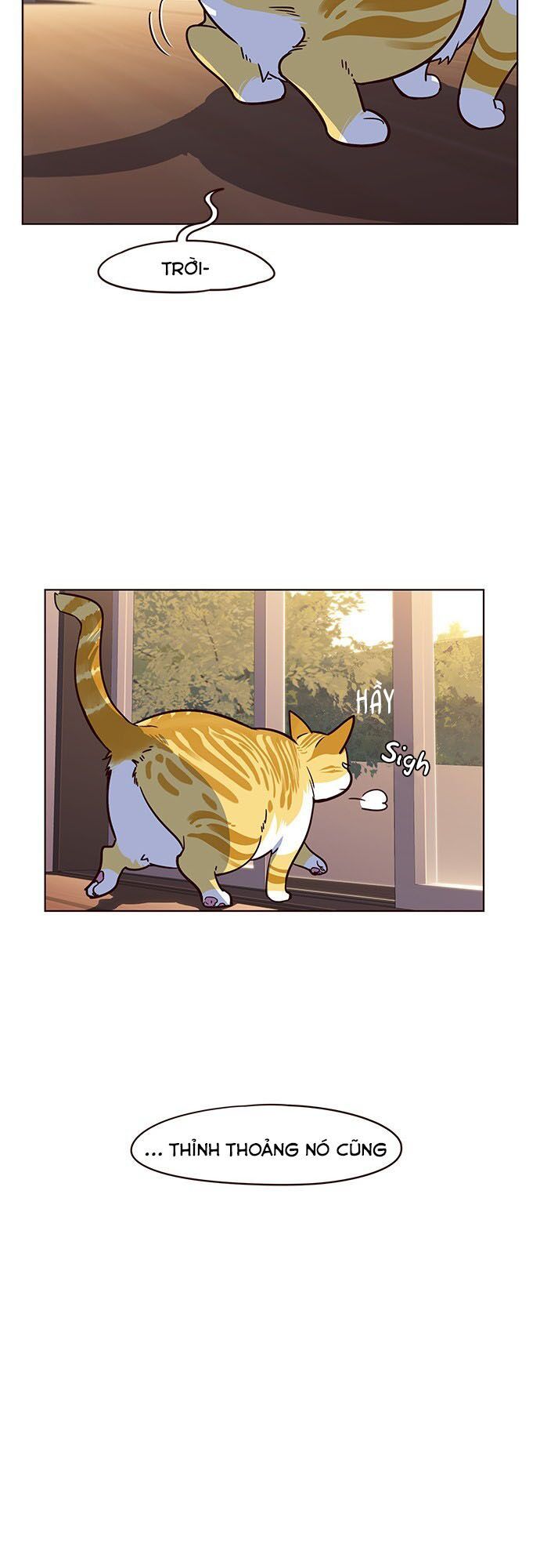 đọc truyện Hóa Thân Thành Mèo Chương 12 ảnh 54 tại Thiên Thai Truyện