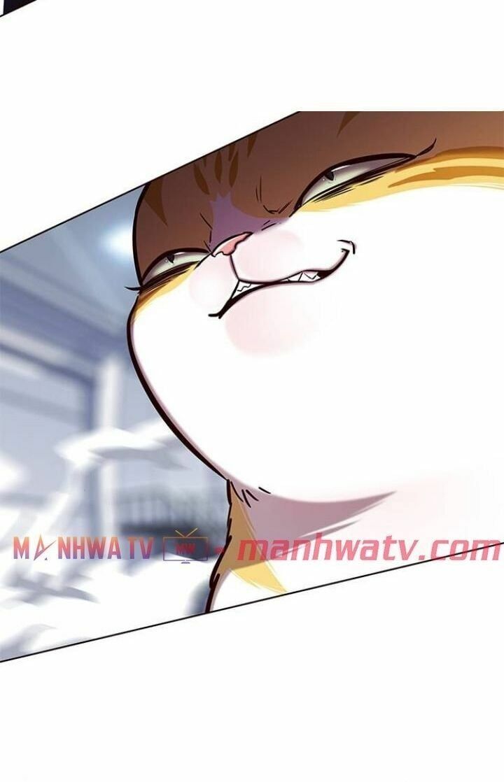 đọc truyện Hóa Thân Thành Mèo Chương 120 ảnh 80 tại Thiên Thai Truyện