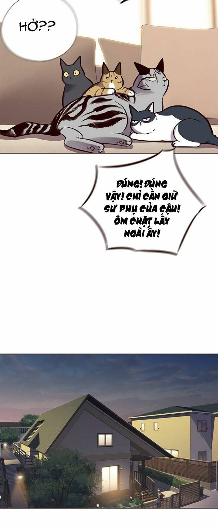 đọc truyện Hóa Thân Thành Mèo Chương 123 ảnh 46 tại Thiên Thai Truyện