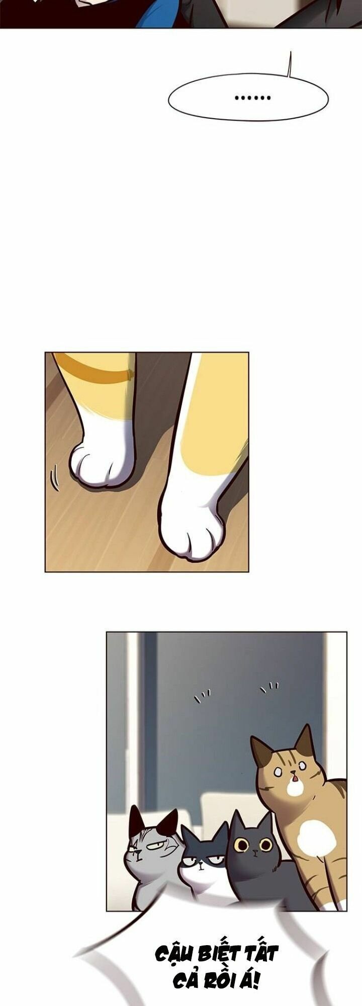 đọc truyện Hóa Thân Thành Mèo Chương 123 ảnh 57 tại Thiên Thai Truyện