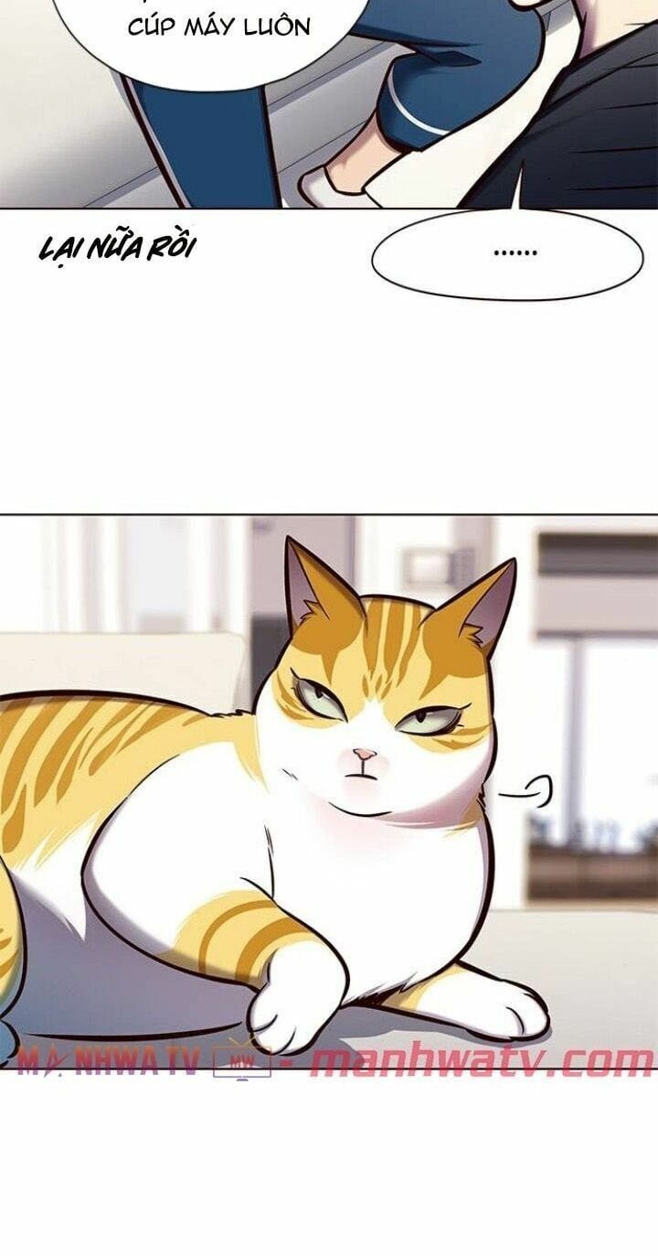 đọc truyện Hóa Thân Thành Mèo Chương 124 ảnh 19 tại Thiên Thai Truyện