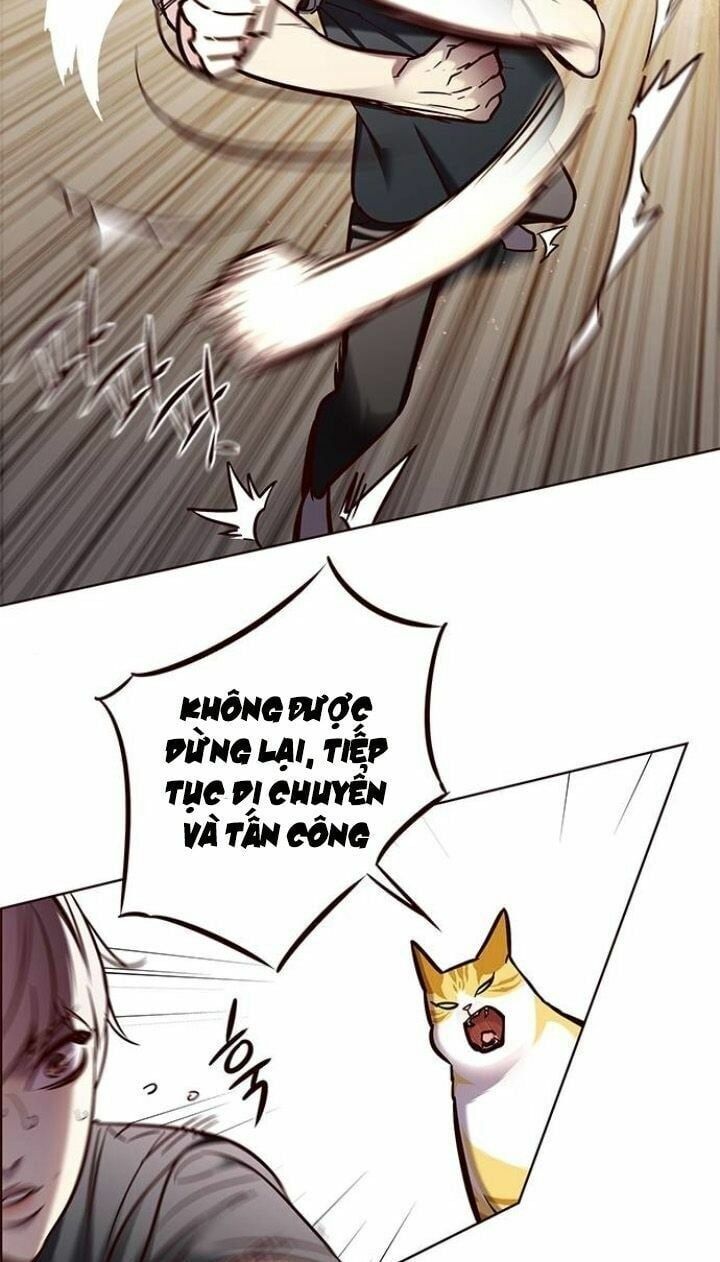 đọc truyện Hóa Thân Thành Mèo Chương 124 ảnh 5 tại Thiên Thai Truyện