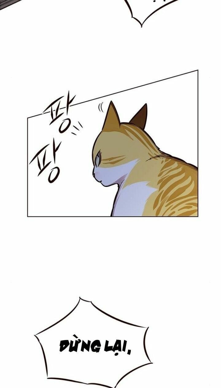 đọc truyện Hóa Thân Thành Mèo Chương 124 ảnh 11 tại Thiên Thai Truyện