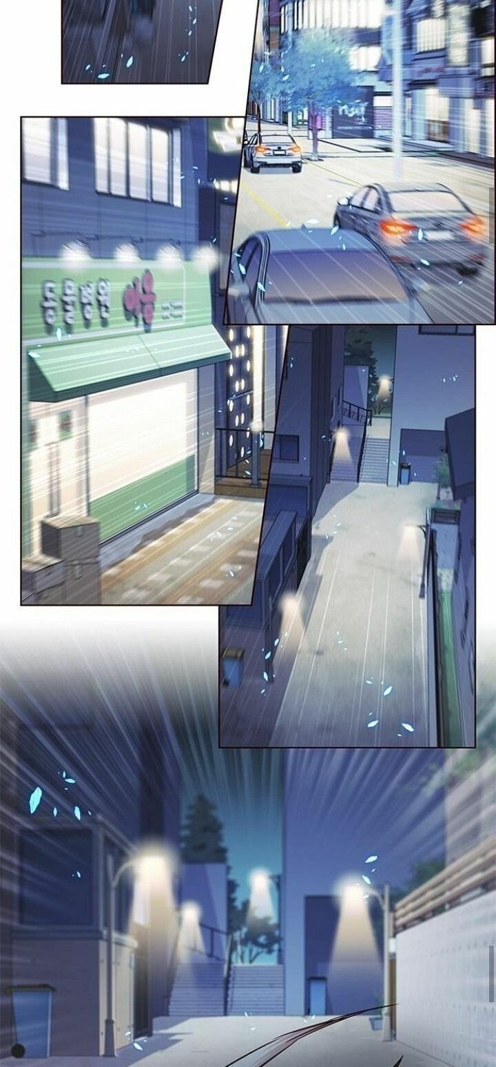 đọc truyện Hóa Thân Thành Mèo Chương 126 ảnh 44 tại Thiên Thai Truyện