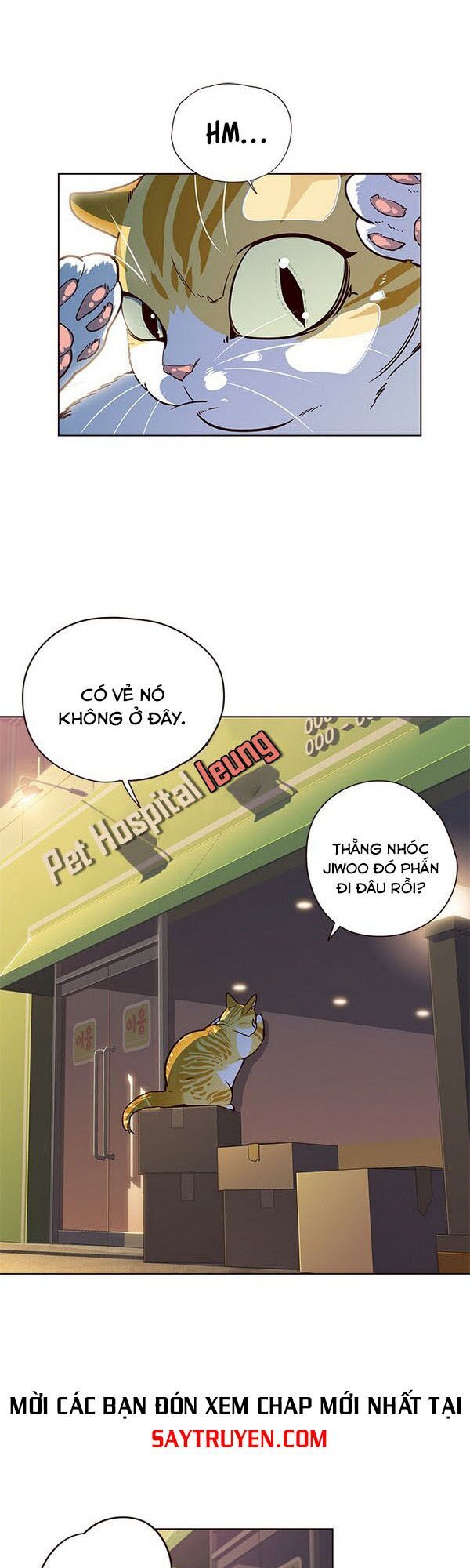 đọc truyện Hóa Thân Thành Mèo Chương 13 ảnh 5 tại Thiên Thai Truyện