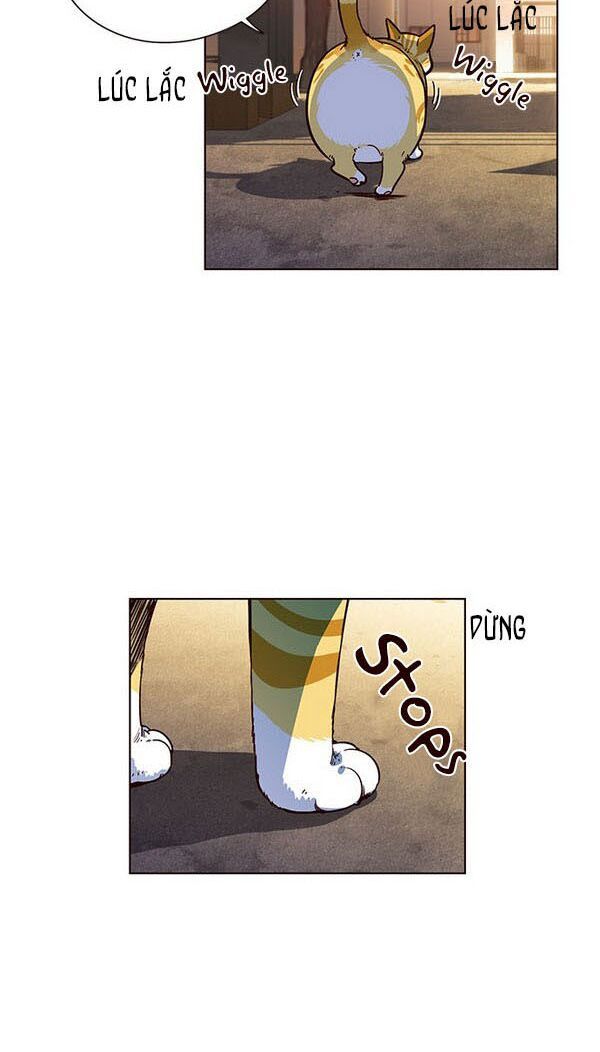 đọc truyện Hóa Thân Thành Mèo Chương 13 ảnh 7 tại Thiên Thai Truyện