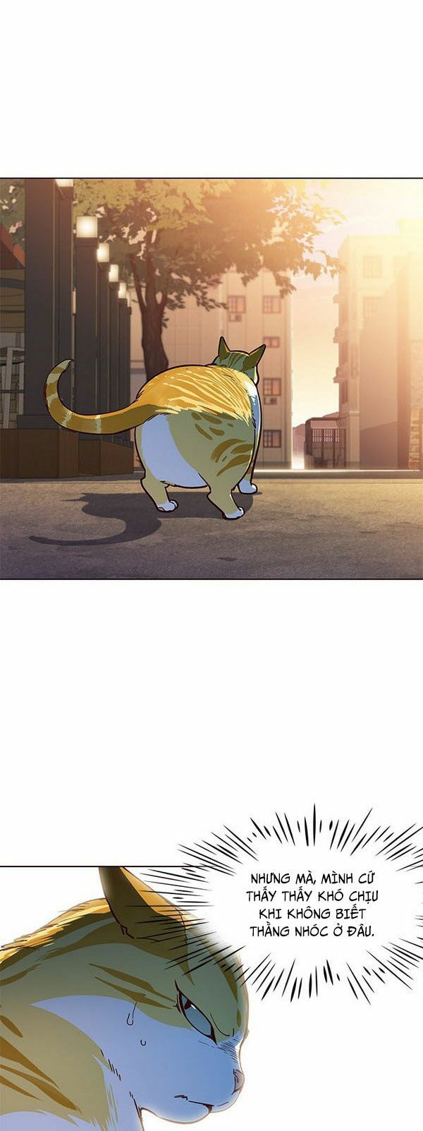 đọc truyện Hóa Thân Thành Mèo Chương 13 ảnh 8 tại Thiên Thai Truyện