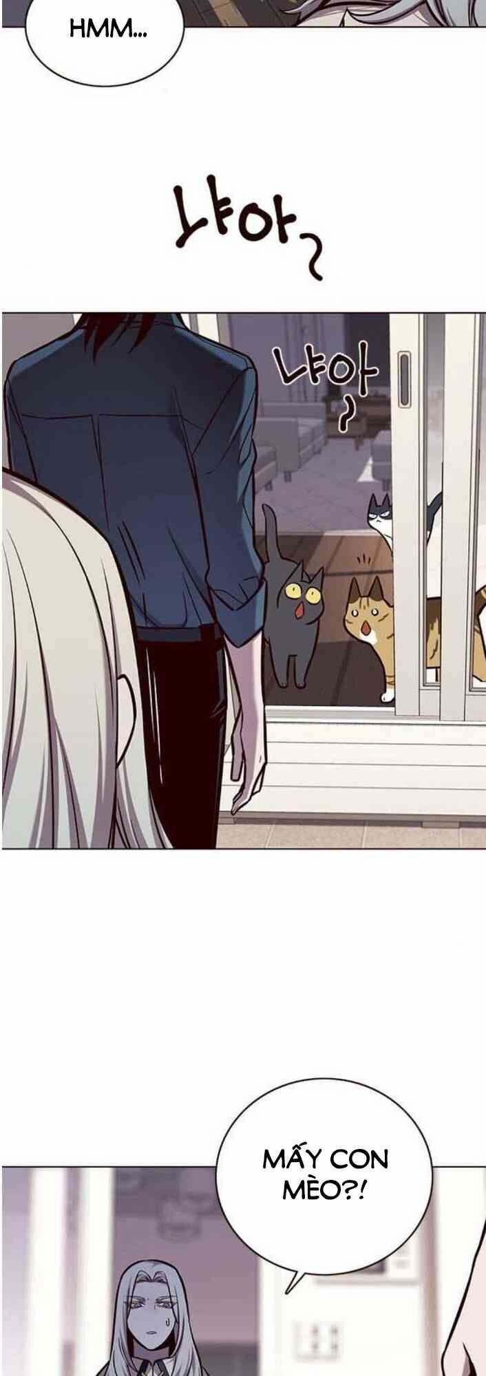 đọc truyện Hóa Thân Thành Mèo Chương 138 ảnh 63 tại Thiên Thai Truyện