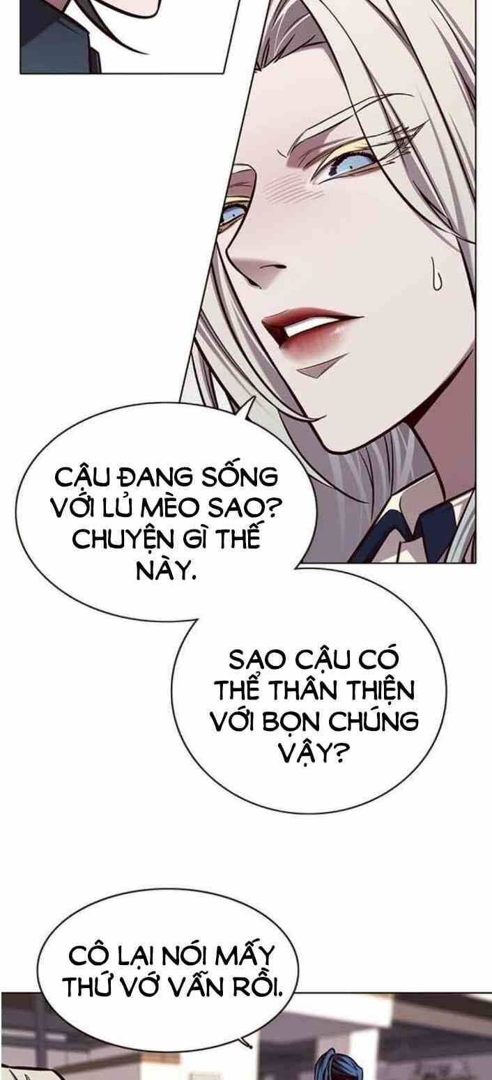 đọc truyện Hóa Thân Thành Mèo Chương 138 ảnh 67 tại Thiên Thai Truyện