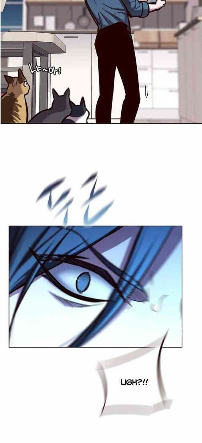 đọc truyện Hóa Thân Thành Mèo Chương 138 ảnh 71 tại Thiên Thai Truyện