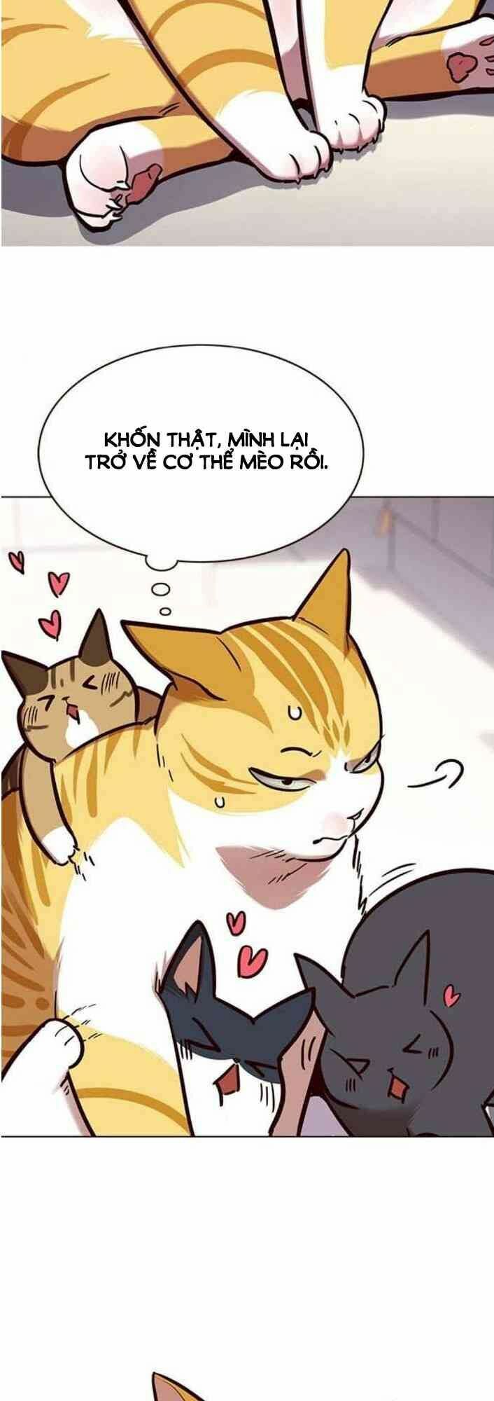 đọc truyện Hóa Thân Thành Mèo Chương 138 ảnh 75 tại Thiên Thai Truyện