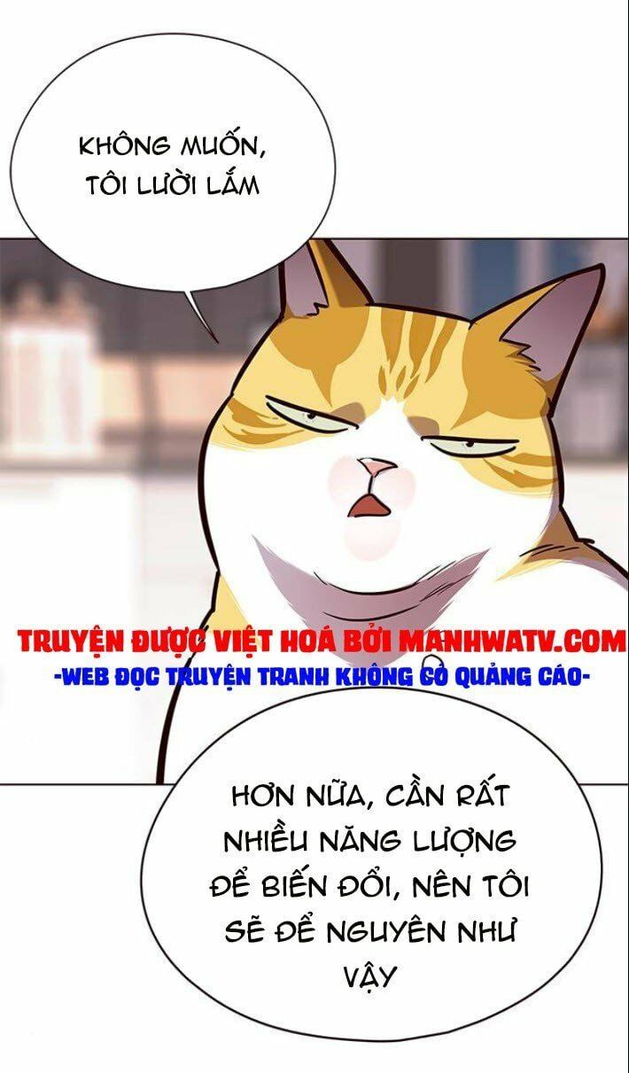 đọc truyện Hóa Thân Thành Mèo Chương 139 ảnh 21 tại Thiên Thai Truyện