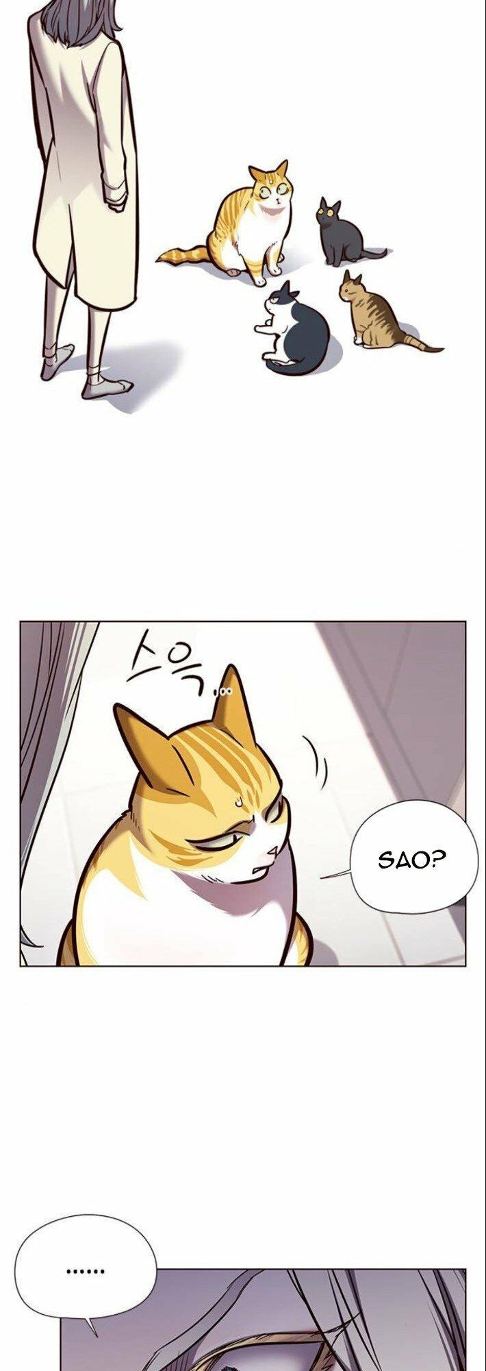 đọc truyện Hóa Thân Thành Mèo Chương 139 ảnh 4 tại Thiên Thai Truyện