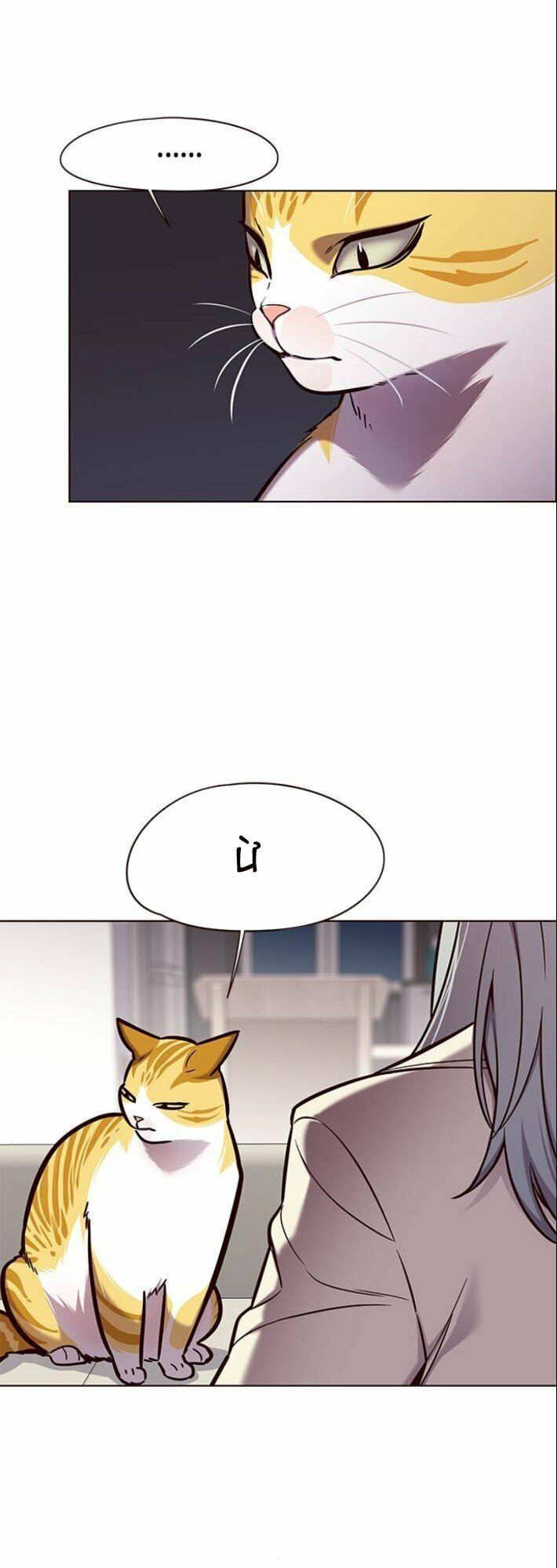 đọc truyện Hóa Thân Thành Mèo Chương 139 ảnh 37 tại Thiên Thai Truyện