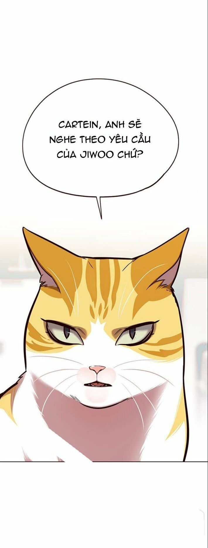 đọc truyện Hóa Thân Thành Mèo Chương 139 ảnh 40 tại Thiên Thai Truyện