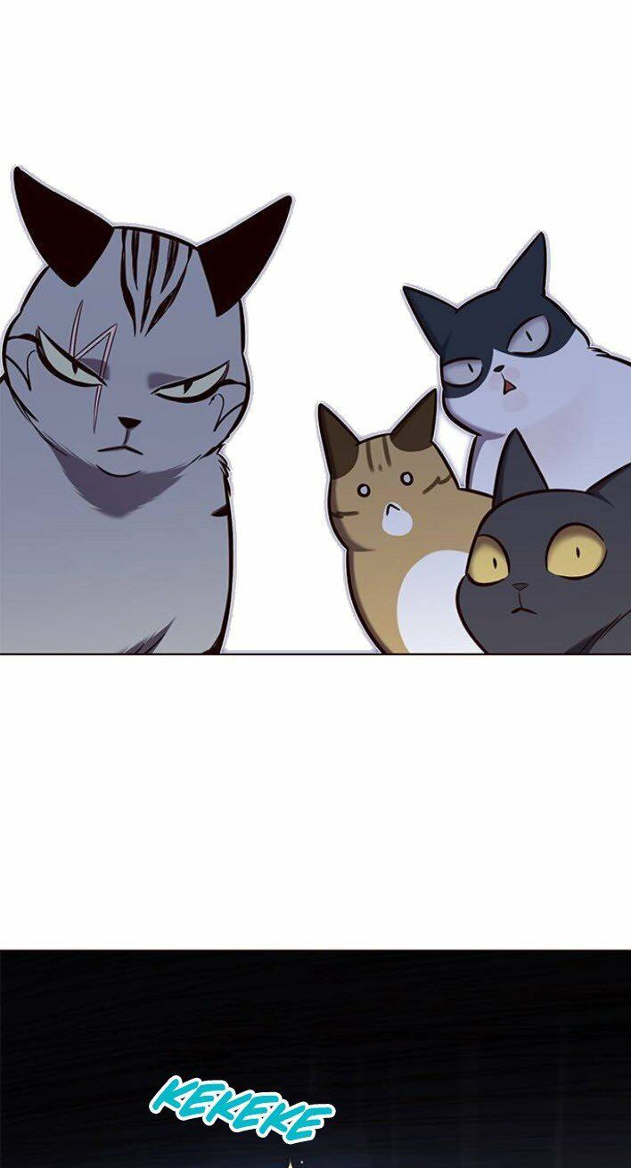 đọc truyện Hóa Thân Thành Mèo Chương 139 ảnh 58 tại Thiên Thai Truyện