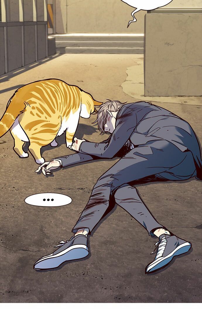 đọc truyện Hóa Thân Thành Mèo Chương 14 ảnh 20 tại Thiên Thai Truyện