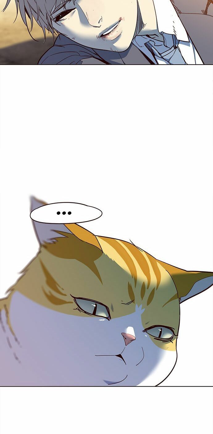 đọc truyện Hóa Thân Thành Mèo Chương 14 ảnh 24 tại Thiên Thai Truyện