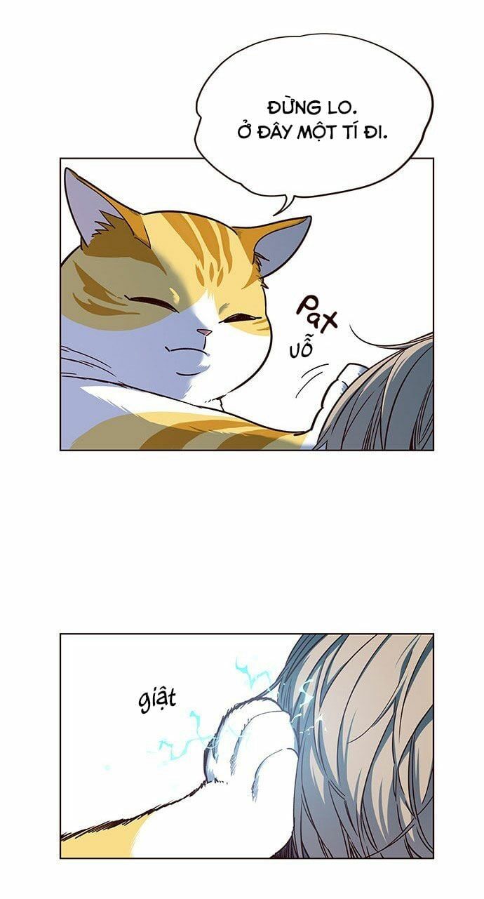 đọc truyện Hóa Thân Thành Mèo Chương 14 ảnh 34 tại Thiên Thai Truyện