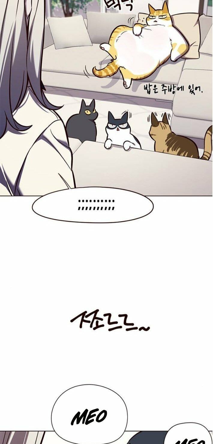 đọc truyện Hóa Thân Thành Mèo Chương 141 ảnh 54 tại Thiên Thai Truyện