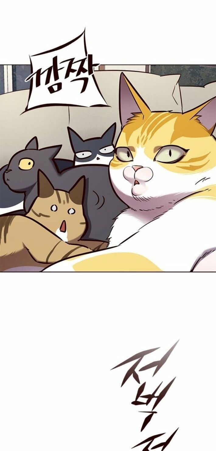 đọc truyện Hóa Thân Thành Mèo Chương 141 ảnh 61 tại Thiên Thai Truyện