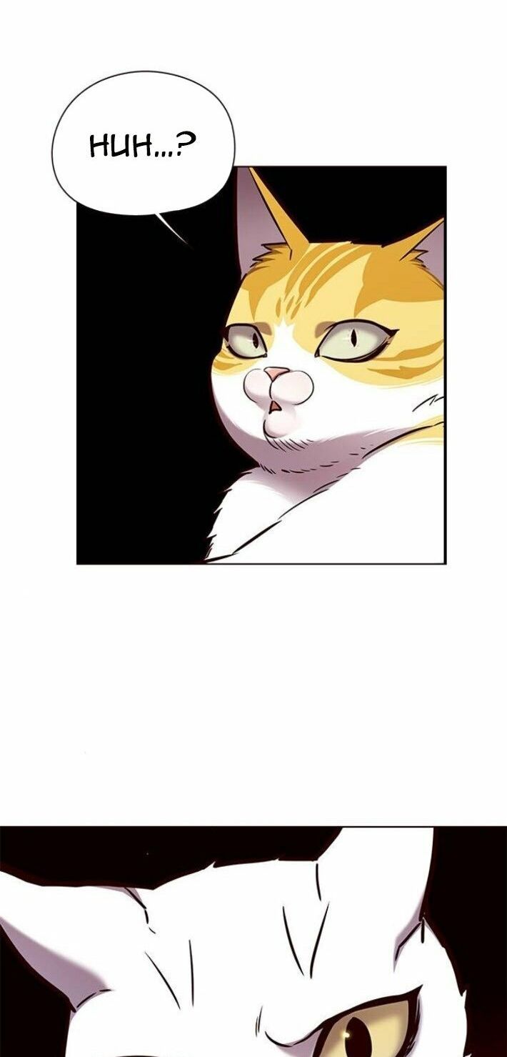 đọc truyện Hóa Thân Thành Mèo Chương 141 ảnh 63 tại Thiên Thai Truyện