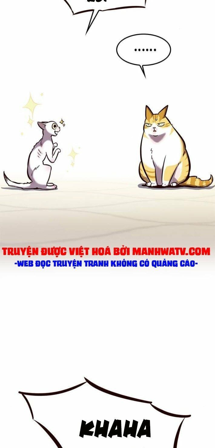 đọc truyện Hóa Thân Thành Mèo Chương 141 ảnh 66 tại Thiên Thai Truyện