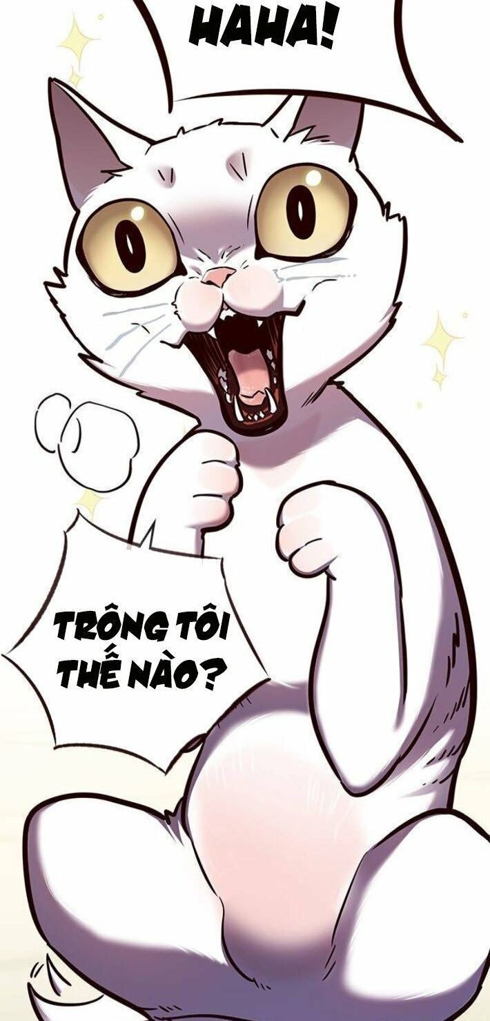 đọc truyện Hóa Thân Thành Mèo Chương 141 ảnh 67 tại Thiên Thai Truyện