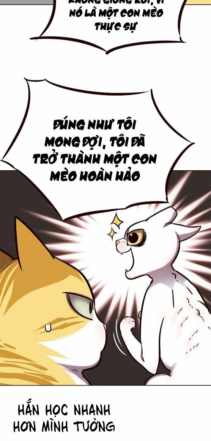đọc truyện Hóa Thân Thành Mèo Chương 141 ảnh 69 tại Thiên Thai Truyện
