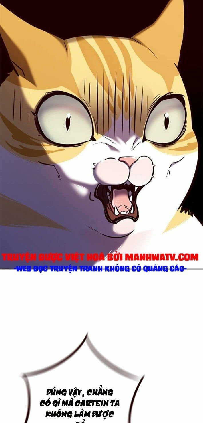 đọc truyện Hóa Thân Thành Mèo Chương 141 ảnh 72 tại Thiên Thai Truyện