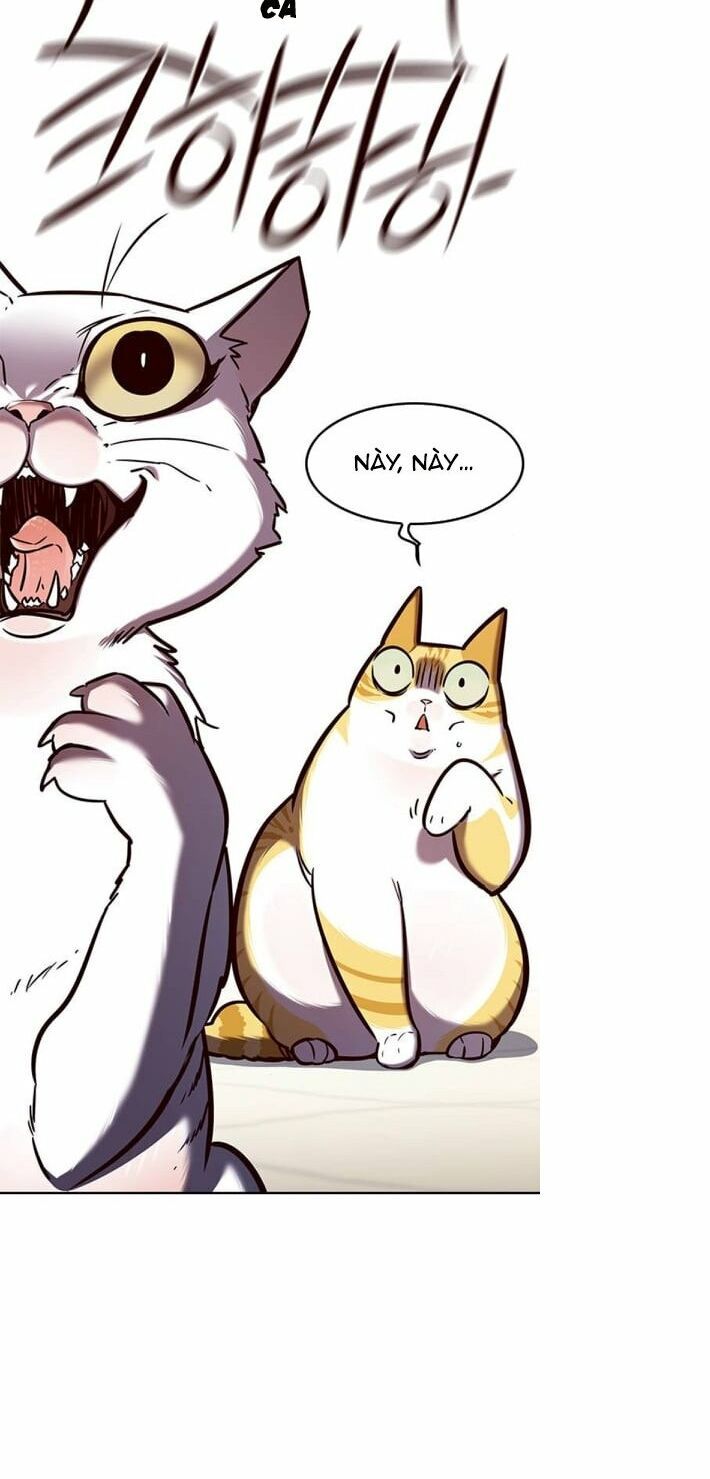 đọc truyện Hóa Thân Thành Mèo Chương 141 ảnh 73 tại Thiên Thai Truyện