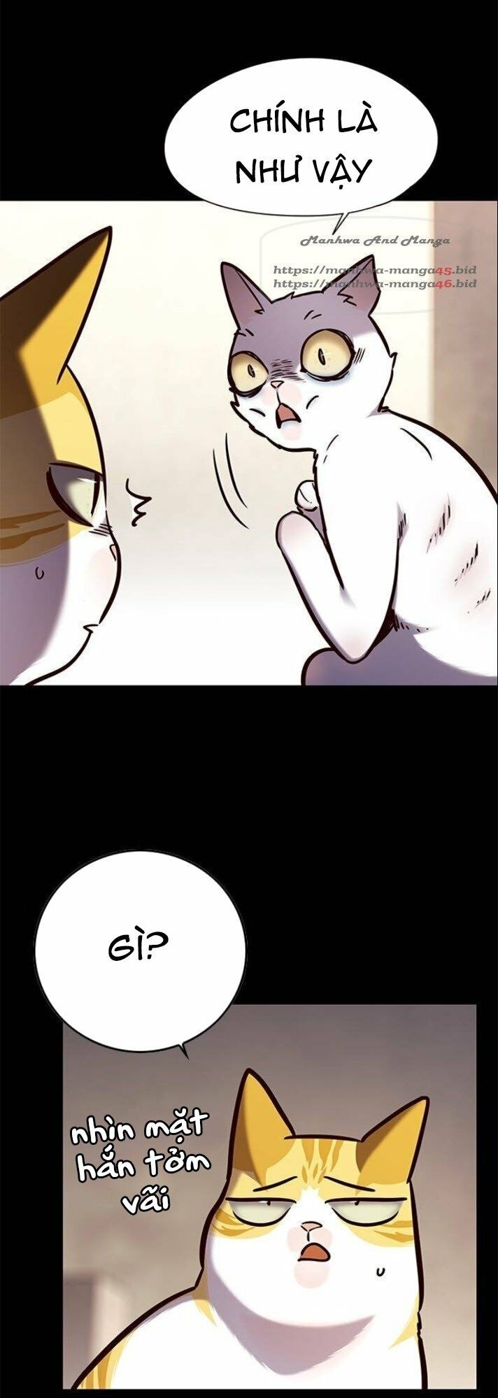 đọc truyện Hóa Thân Thành Mèo Chương 142 ảnh 12 tại Thiên Thai Truyện