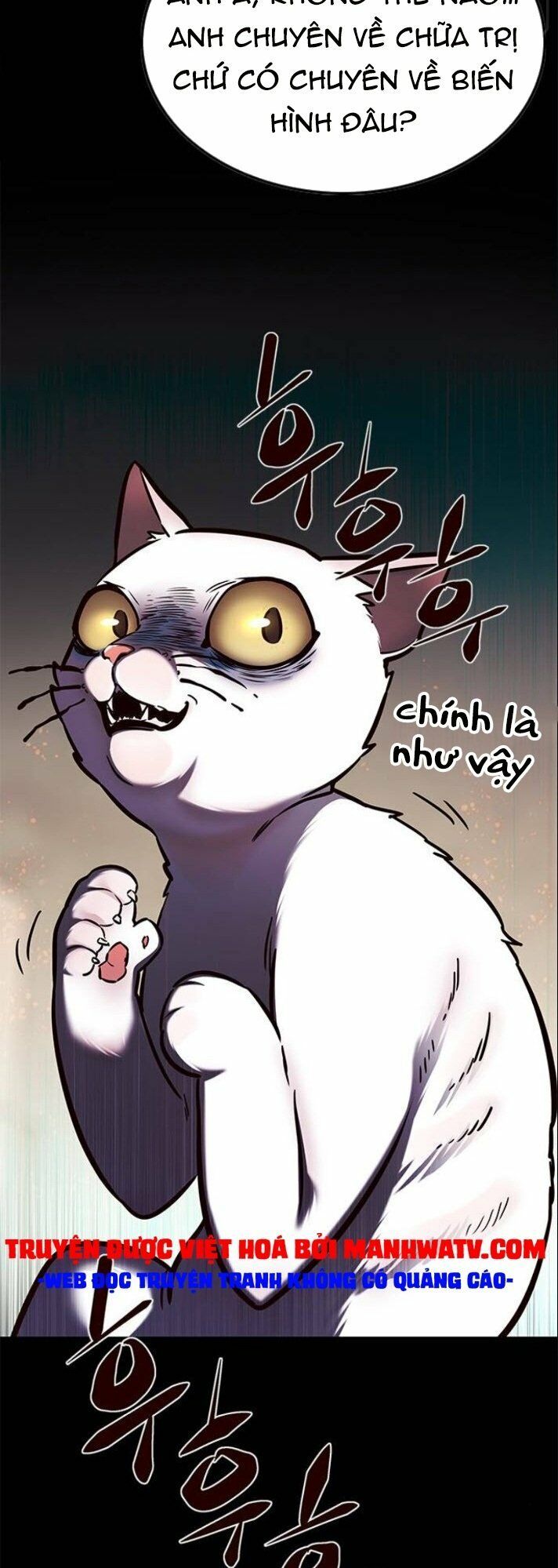 đọc truyện Hóa Thân Thành Mèo Chương 142 ảnh 14 tại Thiên Thai Truyện