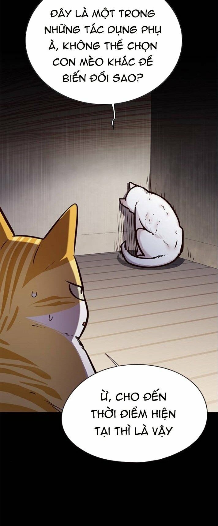 đọc truyện Hóa Thân Thành Mèo Chương 142 ảnh 8 tại Thiên Thai Truyện