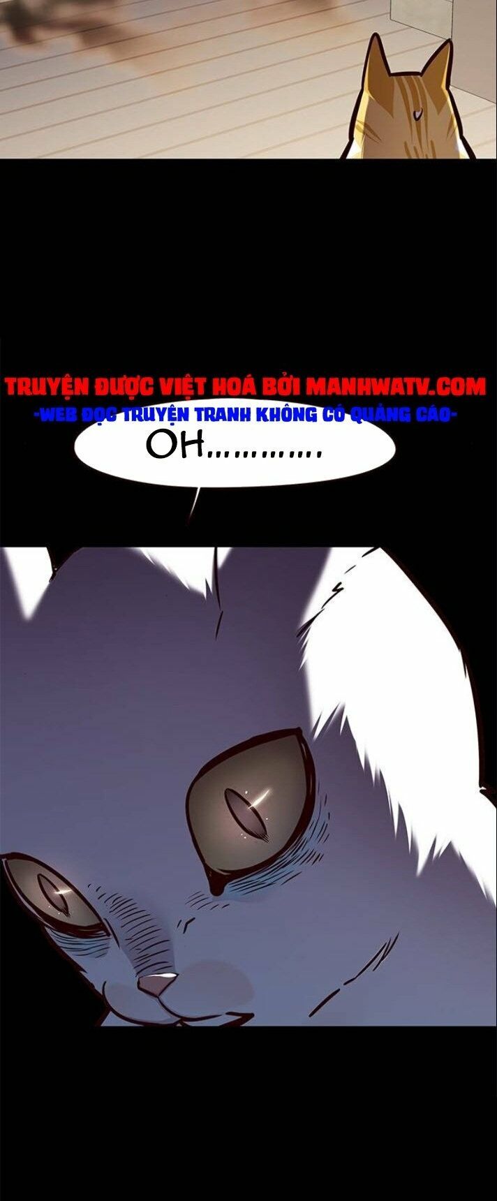 đọc truyện Hóa Thân Thành Mèo Chương 142 ảnh 11 tại Thiên Thai Truyện