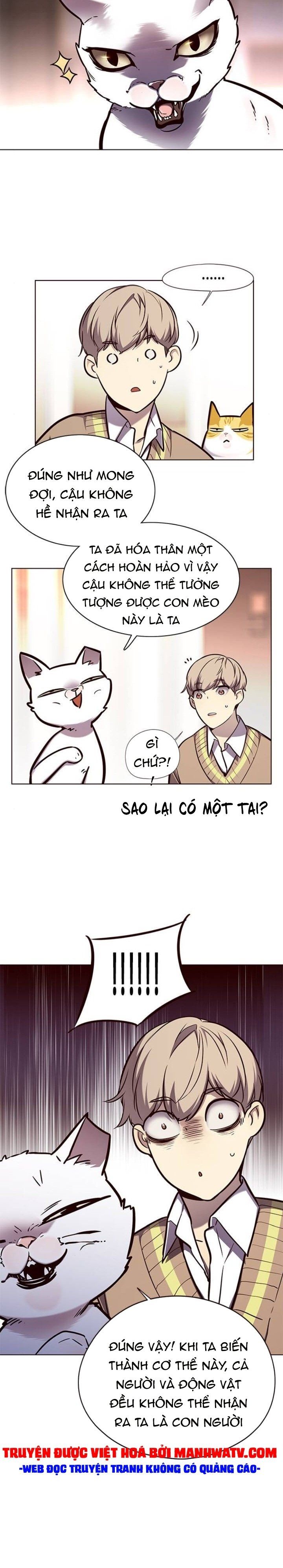 đọc truyện Hóa Thân Thành Mèo Chương 143 ảnh 13 tại Thiên Thai Truyện