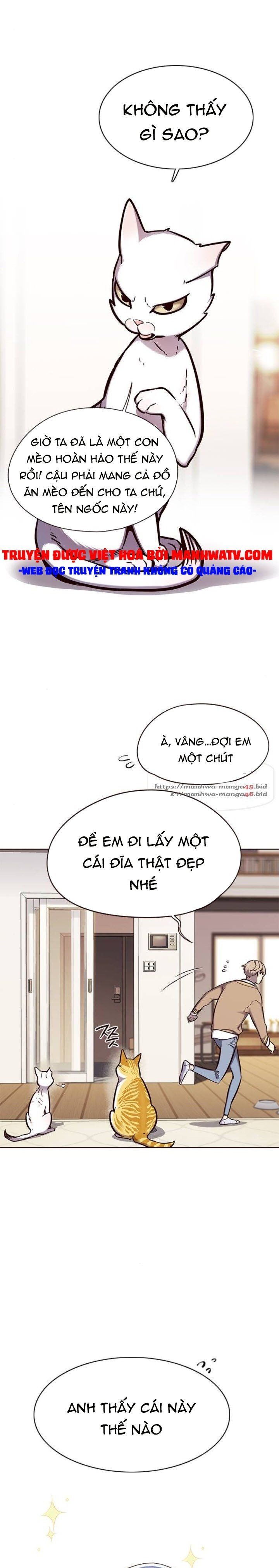 đọc truyện Hóa Thân Thành Mèo Chương 143 ảnh 16 tại Thiên Thai Truyện