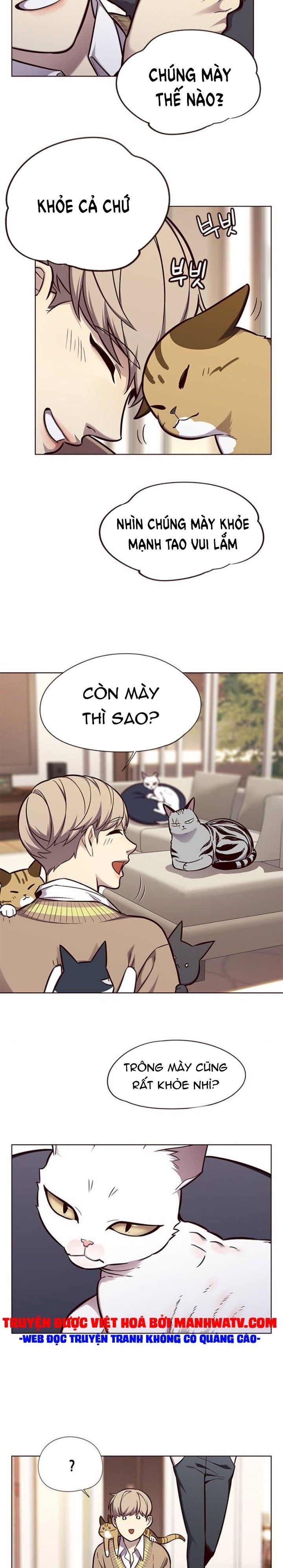 đọc truyện Hóa Thân Thành Mèo Chương 143 ảnh 10 tại Thiên Thai Truyện