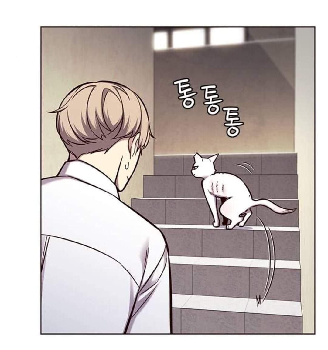 đọc truyện Hóa Thân Thành Mèo Chương 144 ảnh 13 tại Thiên Thai Truyện